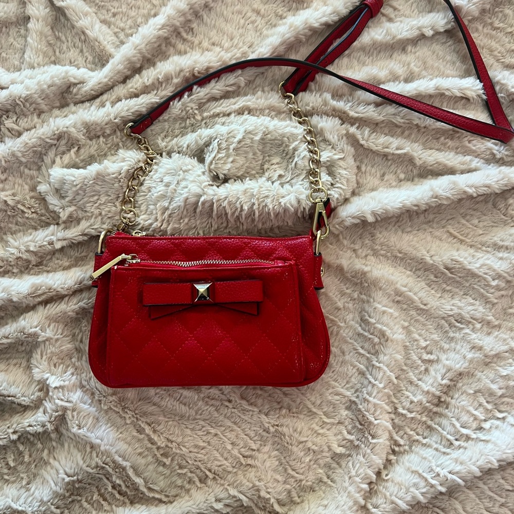 Aldo purse/crossbody purse.